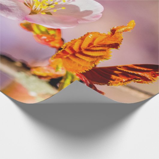 Niedliche Blume Sakura Geschenkpapier (Ecke)