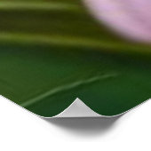 Niedliche Blütenkatze Poster (Ecke)