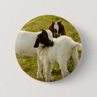 Niedliche Boerziegen Button