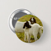 Niedliche Boerziegen Button (Vorne & Hinten)