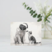 Niedliche Border Collie & Kitten Freundschaft Postkarte (Stehend Vorderseite)