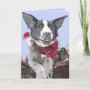 Niedliche Border Collie Mix Hund Sketch Kunst, Dic Karte
