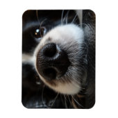 Niedliche Border Collie Nose Schließen Magnet (Vertikal)
