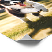 Niedliche Border Collie Welpe Poster (Ecke)