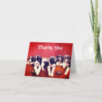 Niedliche Border Collie Welpen Danke Karte