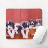 Niedliche Border Collie Welpen Mousepad (Mit Mouse)