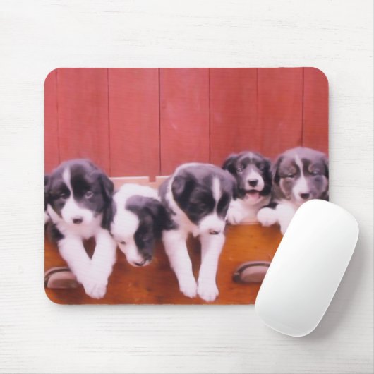 Niedliche Border Collie Welpen Mousepad (Mit Mouse)