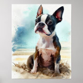 Niedliche Boston Terrier auf der Strandpromenade K Poster (Vorne)