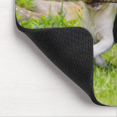 Niedliche Boston Terrier Hunde Welpen spielen Mousepad (Ecke)