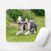 Niedliche Boston Terrier Hunde Welpen spielen Mousepad (Mit Mouse)