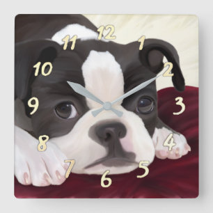 Niedliche Bostoner Terrier-Wanduhr Quadratische Wanduhr