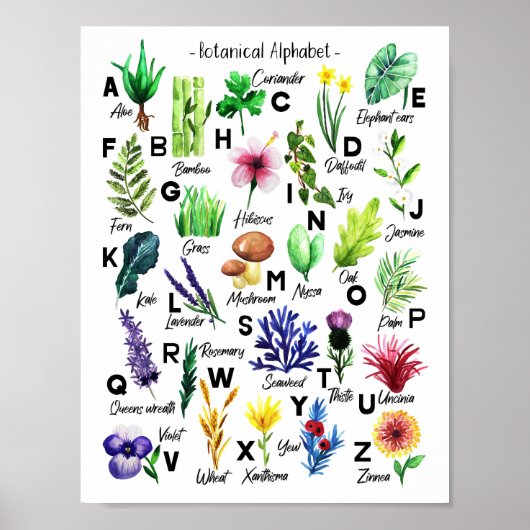 Niedliche botanische Blume Alphabet Baby Kinderzim Poster (Vorne)