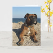 Niedliche Boxer-Dog-Grußkarte Karte (Gelbe Blume)