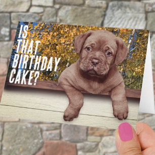 Niedliche braune Welpenfotovorlage Geburtstag Karte