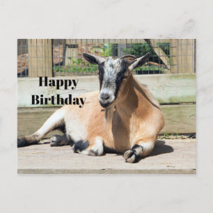 Niedliche braune Ziege Schlafen Foto Geburtstag Postkarte