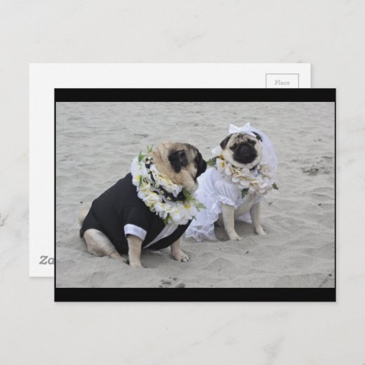 Niedliche Braut- und Bräutigam-Mops Postkarte (Vorne/Hinten)