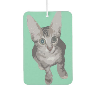 Niedliche breite mit Augen Katze Autolufterfrischer