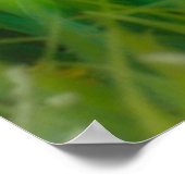 Niedliche britische Kurzhaarkätzchen im Garten Poster (Ecke)