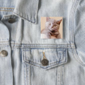Niedliche britische Shorthair Katze Button (Beispiel)