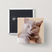 Niedliche britische Shorthair Katze Button (Vorne & Hinten)