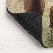 Niedliche Brown-Alpakas im Zoo Mousepad (Ecke)