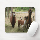 Niedliche Brown-Alpakas im Zoo Mousepad (Mit Mouse)