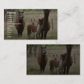 Niedliche Brown-Alpakas im Zoo Visitenkarte (Vorne/Hinten)