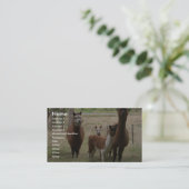 Niedliche Brown-Alpakas im Zoo Visitenkarte (Stehend Vorderseite)