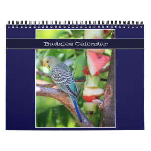 Niedliche Budgie-Papagei-Fotografie 2026 Vögel Kalender