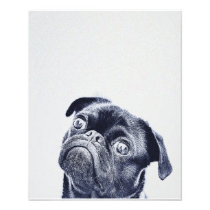 Niedliche Bulldogge Bulldog-Lover-Geschenk Fotodruck