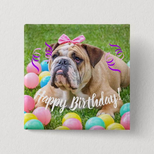 Niedliche Bulldoggen-alles Gute zum Geburtstag Button (Vorderseite)