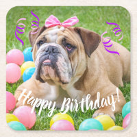 Niedliche Bulldoggen-alles Gute zum Geburtstag