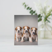 Niedliche Bulldoggen Welpen | Dog Lovers Gift Einladung (Stehend Vorderseite)