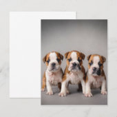 Niedliche Bulldoggen Welpen | Dog Lovers Gift Einladung (Vorne/Hinten)