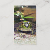 Niedliche Bullfrog Nature Fotografy Business Card Visitenkarte (Rückseite)