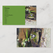 Niedliche Bullfrog Nature Fotografy Business Card Visitenkarte (Vorne/Hinten)