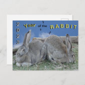 Niedliche Bunnies 2023 Jahr der Kaninchenpostkarte Postkarte (Vorne/Hinten)