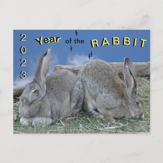 Niedliche Bunnies 2023 Jahr der Kaninchenpostkarte Postkarte (Vorderseite)