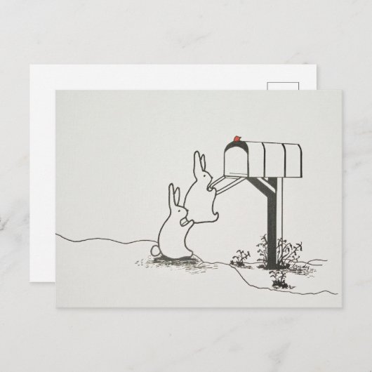 Niedliche Bunnies suchen nach einer Mail Postkarte (Vorne/Hinten)