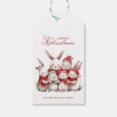 Niedliche bunnies und Individuelle Name Frohe Weih Geschenkanhänger (Vorderseite)