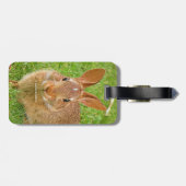 Niedliche Bunny Chewing Grüntöne auf der Golfmesse Gepäckanhänger (Rückseite horizontal)