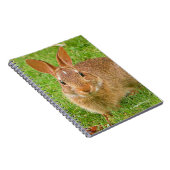 Niedliche Bunny Chewing Grüntöne auf der Golfmesse Notizblock (Rechte Seite)