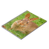 Niedliche Bunny Chewing Grüntöne auf der Golfmesse Notizblock (Linke Seite)