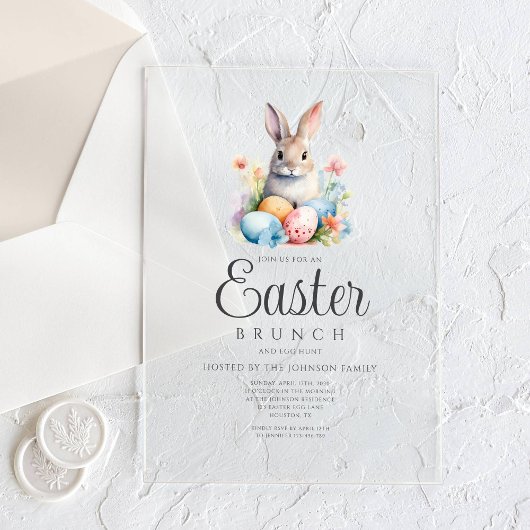 Niedliche Bunny Egg Jour und Osterbrunch Acryleinladungen