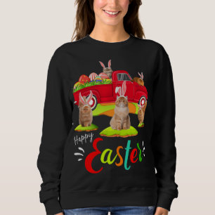 Niedliche Bunny Persian Cats Riding Red Truck Happ Sweatshirt