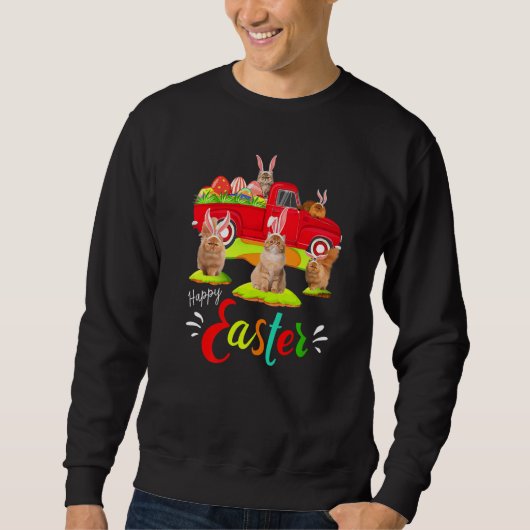 Niedliche Bunny Persian Cats Riding Red Truck Happ Sweatshirt (Vorderseite)