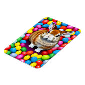 Niedliche Bunny und Jellybeans Magnet (Linke Seite)