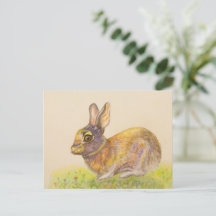 Niedliche bunt Bunny zeichnend Kunst