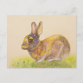Niedliche bunt Bunny zeichnend Kunst Feiertagspostkarte (Vorderseite)