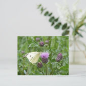 Niedliche Cabbage White Butterfly DIY Postkarte (Stehend Vorderseite)